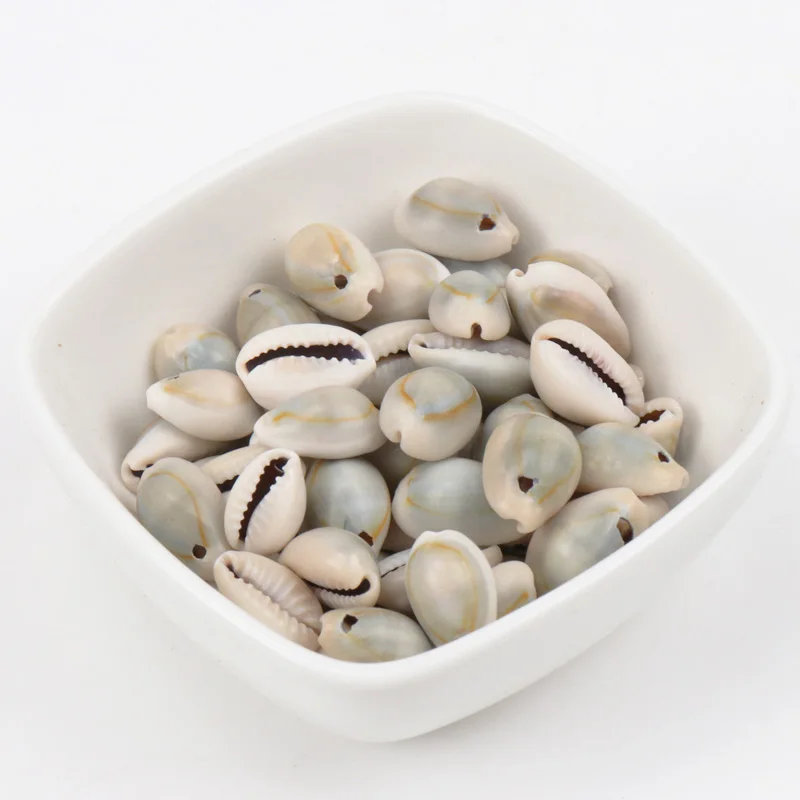 10-25mm Grey Natural Shell Loose Beads for jewelry making DIY about 40pcs TRS0080-2