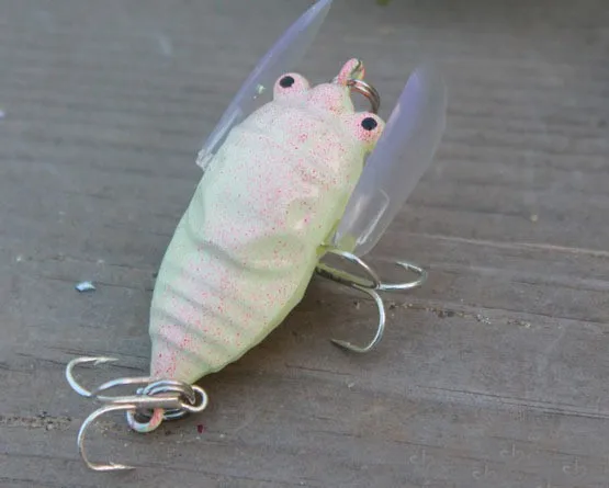 Lure Insect Bait 6g Topwater Fishing Cicada Lures Freshwater Artificial Hard Baits 1 Piece Sale