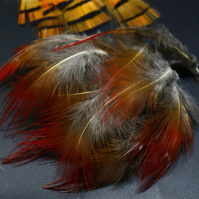 NEW 1set natural golden pheasant feathers mix Golden pheasant head crest tippets&center tail feathers fly tying feather material