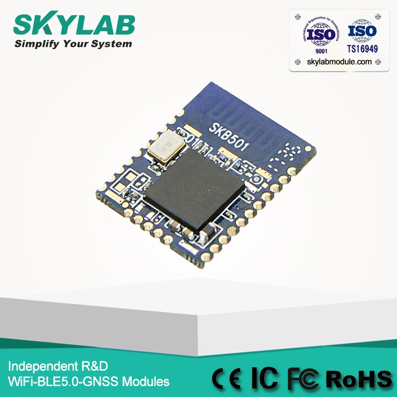 

SKYLAB SKB501 Bluetooth Low Energy Module With Bluetooth Chip nRF52840