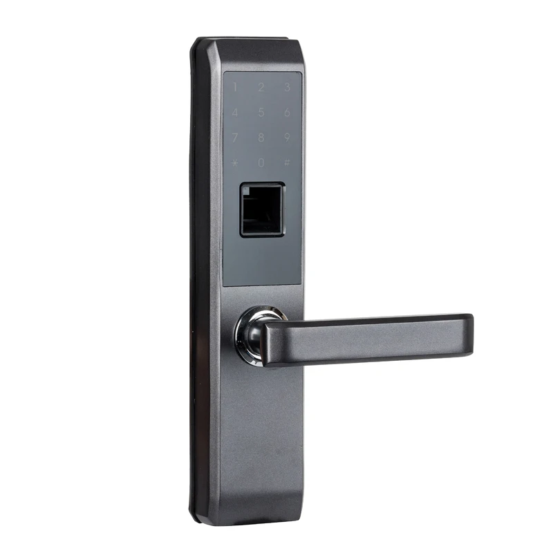 LACHCO  Biometric Electronic Door Lock Smart Fingerprint, Code,Card, Key Touch Screen Digital Password Lock for home L18008F