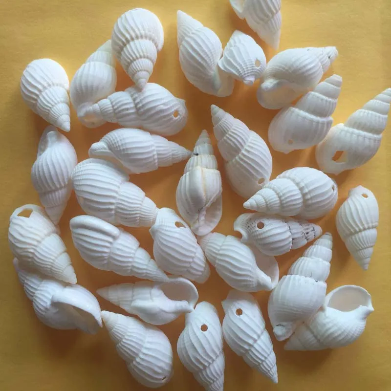 60pcs Mix Different Shape And Size Spiral Shell Beads for DIY Jewelry Making Dyed Cowrie Shells Seashell