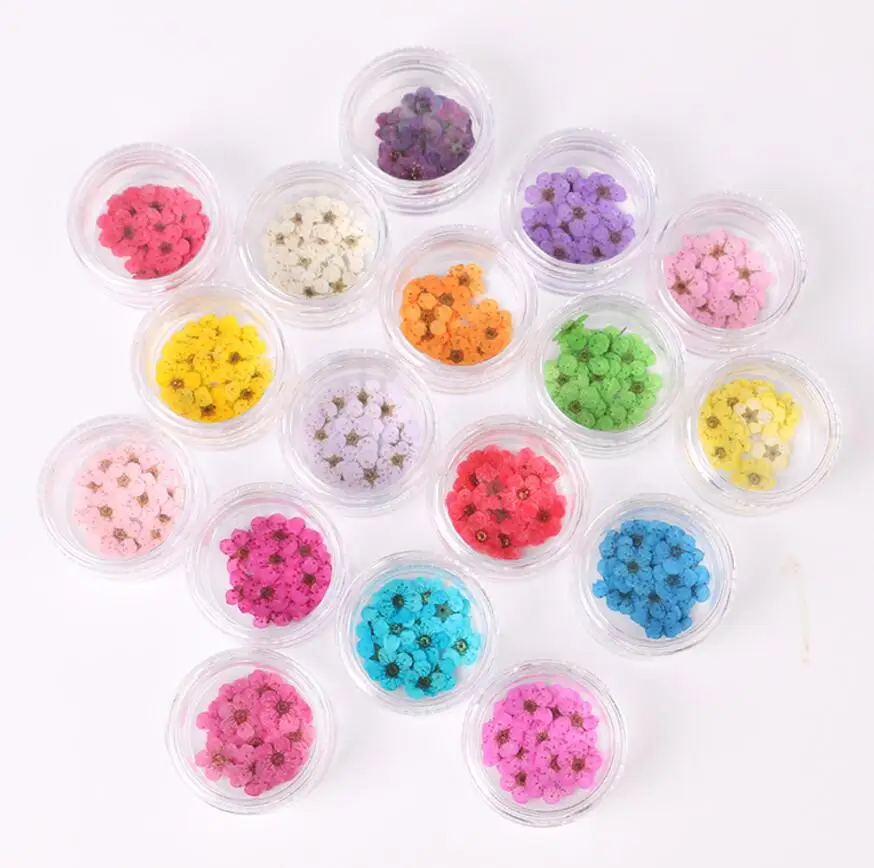 100pcs Pressed Dried Narcissus Plum Blossom Flower With Box For Epoxy Resin Jewelry Making Nail Art Craft DIY Accessories