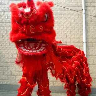 Lion Dance Costume For Overseas Chinese Guang Dong Southern Lion Dance Performance Spring Festival adult lions dancing Outfit