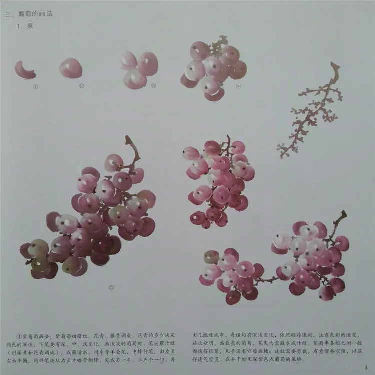 Tradition chinese painting technical skill - how to paint Grape written by Jiang-Tao Zeng