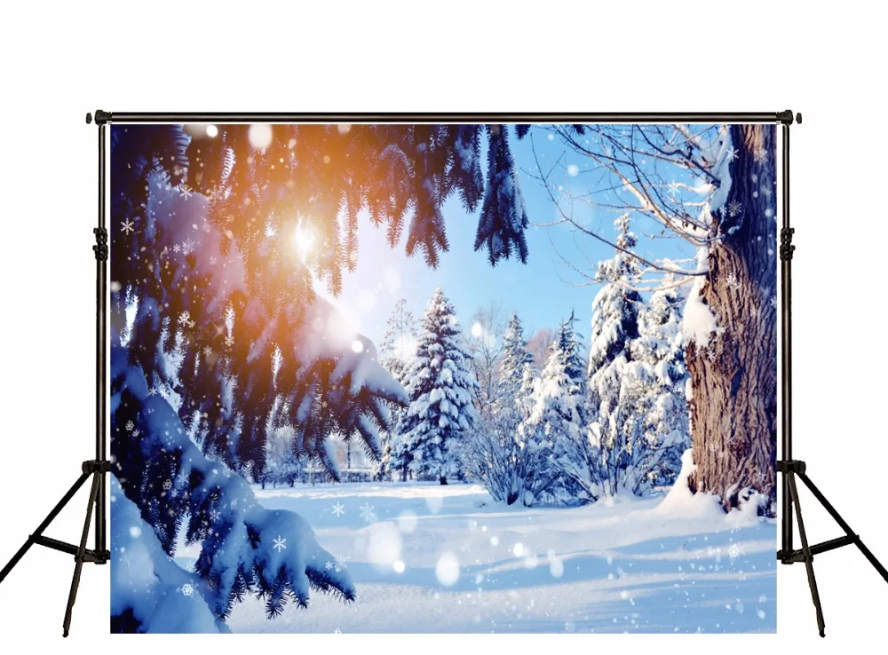 

VinylBDS Photo Backdrop Frozen Snow Winter Photography Backgrounds Photographie Cedar Fantasy Sky Photo backdrops Photo Studio