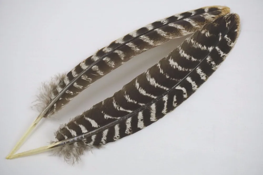 Turkey feathers wholesale discount 10-1000PCS / pieces 25-30CM DIY decoration Indian headdress arrow feathers