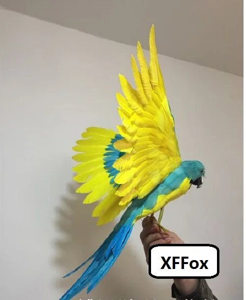 big real life wings parrot model foam&feather blue&yellow simulation parrot bird gift about 45x60cm xf0311