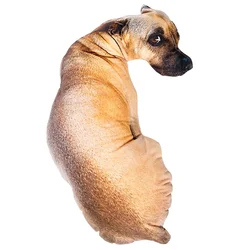 3D Cute Dog Tiger Shade Cushion Creative Home Sofa Office Nap Pillow Washable Car Seat Cushions Puppy Throw Pillow Cushion