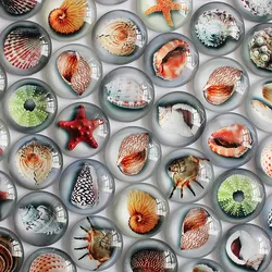 From 8mm to 30mm Mixed Style Halobios Round Glass Cabochon Dome Jewelry Finding Cameo Settings Flatback photo DIY Making K04502