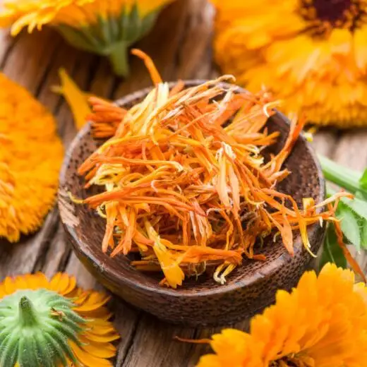 Dried Calendula flower petals Leaves Natural Flowers Petals wedding/birthday party decoration biodegradable Decor Festival Table