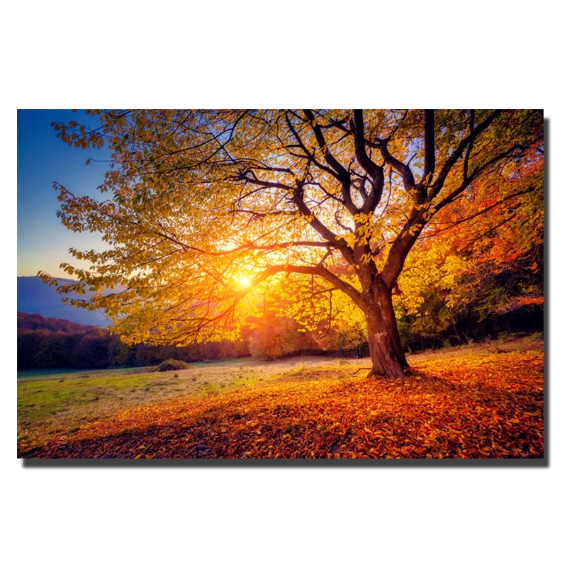 

HD Print Large Size Sunset Beautiful Scenery Canvas Painting Nature Landscape Canvas Print Posters For Living Room Free Shipping