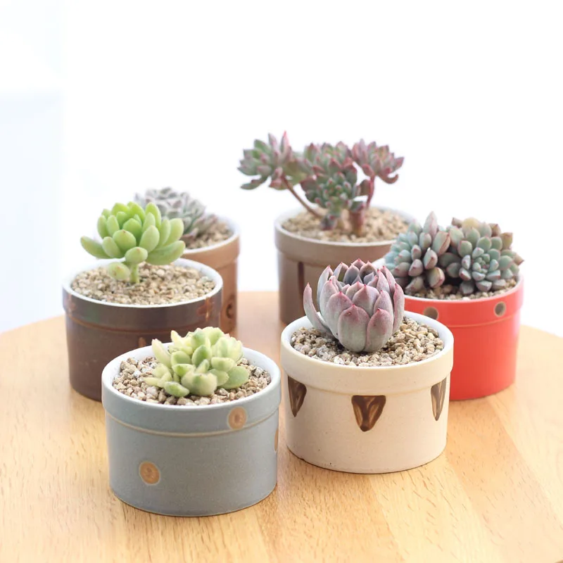 

Set of 6 Japanese Transmutation Glazed Ceramic Flowerpots Succulent Plant Pots Home Decorative Cactus Planters