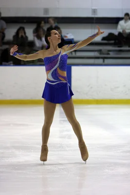 

Custom Adult Ice Skating Dresses Graceful New Brand Figure Skating Dresses For Competition DR4152