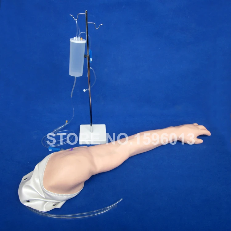 

Comprehensive Venous Training Arm Model, Venipuncture and Injection Training Arm