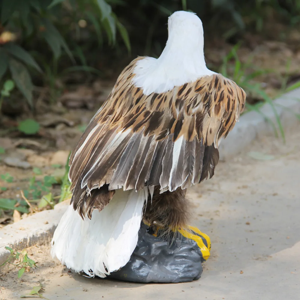 ZILIN Highly Vivid Bald Eagle With Real Feather Handmade Bald Eagle Delicate Home Decor, 30*20*25 cm