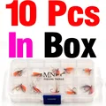 10 piezas en caja