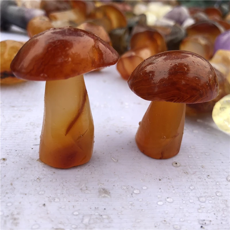 DHX SW Carnelian Crystal Hand Carved Mushrooms Natural Agate Stone Meditation Reiki Healing Remove Negative Energy Room Decor