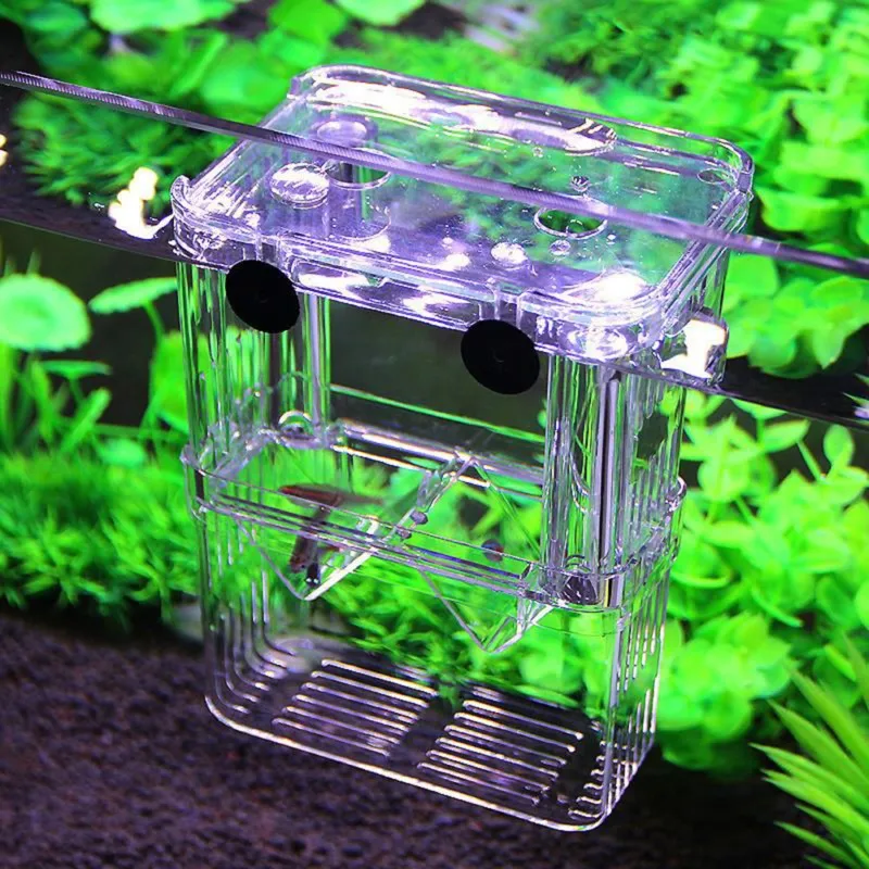 Multifunctional High Clear Fish Breeding Isolation Box Aquarium Breeder Fish Tank Double Guppies Hatching Incubator