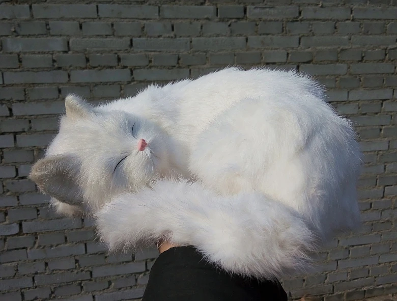 

new simulation sleeping cat toy polyethylene & furs white cat doll gift about 25x20x11cm 1188