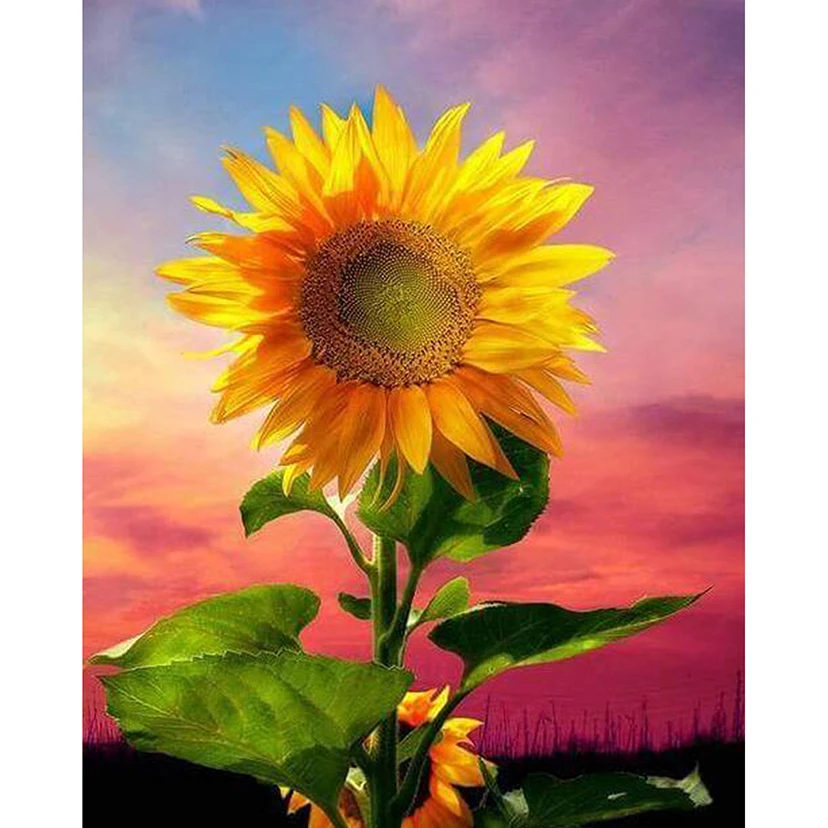 

5D Diamond Painting Cross Stitch Full Diamond Painting Home Decor wall art Warm Sunflower Pattern Diamond Embroidery WG367
