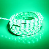 DIY LED Strip light DC12V 5m 3528 SMD Flexible LED Tape Lamp White / Warm white / Red / Green / Blue / Yellow / RGB