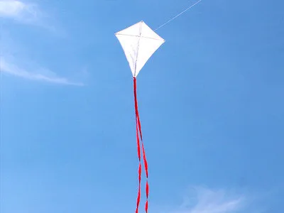 grote blanco diy kite 100 stks/partij onderwijs schilderen kite string lijn outdoor speelgoed vliegende albatross kite fabriek