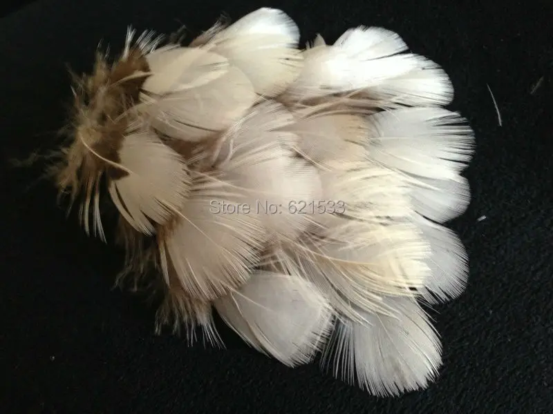 200Pcs/Lot!4-6cm RARE WHITE Lady Amherst natural pheasant feathers for craft/millinery