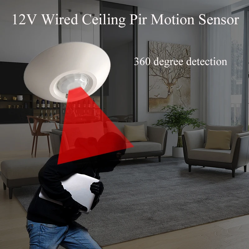 12V Wired Pir Motio… - image