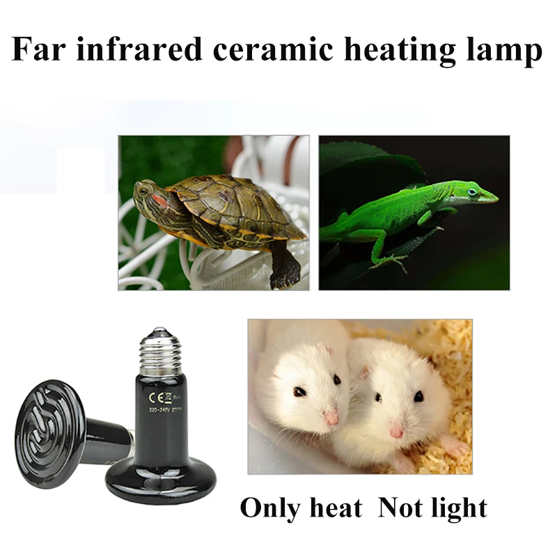 1PCS Brooder Infra Lamp Infrared 220v Bulb Heater Infrarood Reptille Reptile Chocadeira Tortuga Reptiles Lizard Ceramica Heat