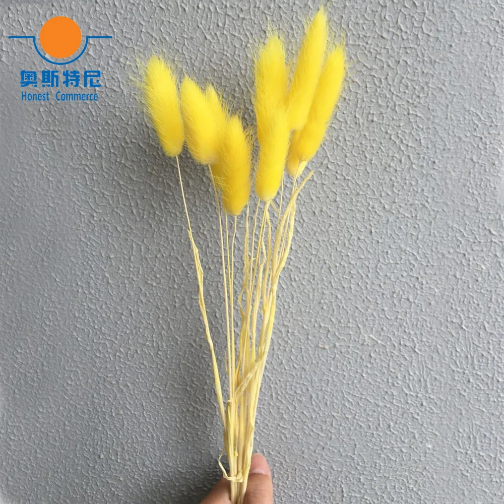 50pcs dried natural flower bouquets yellow color Lagurus ovatus bouquets&Uraria picta&rabbit tail grass flower bouquets bunches