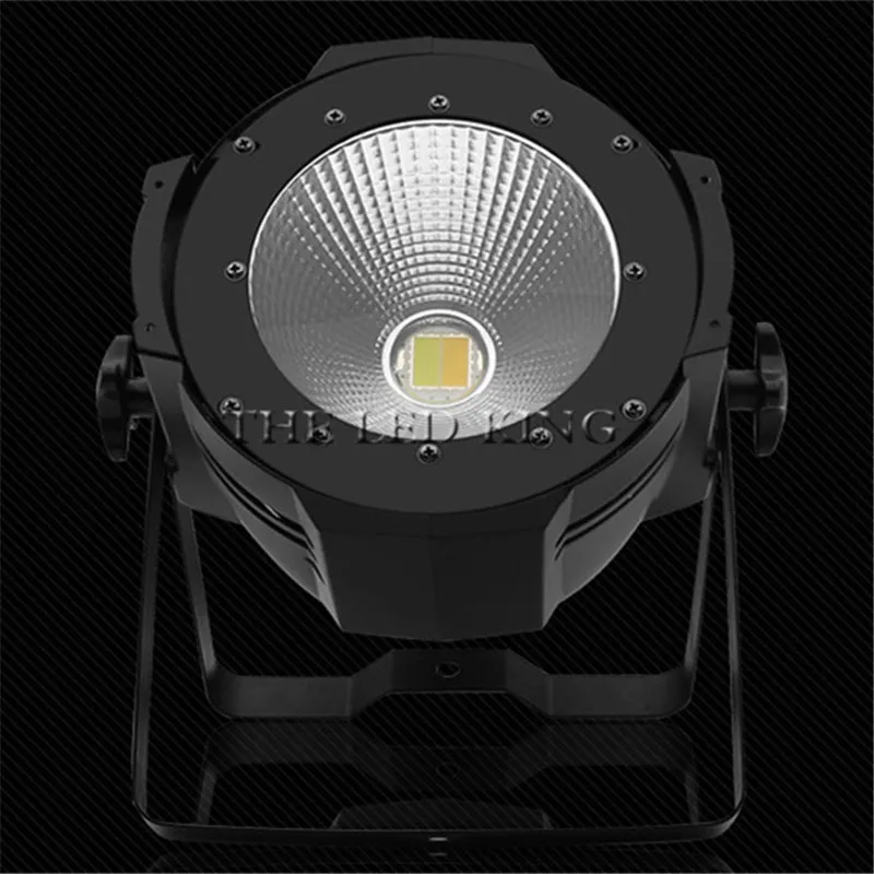 

Warm White Cold White 2IN1 Leds LED Par Stage Lighting Disco DJ Club Effect Wedding Show DMX Strobe Light Lamp