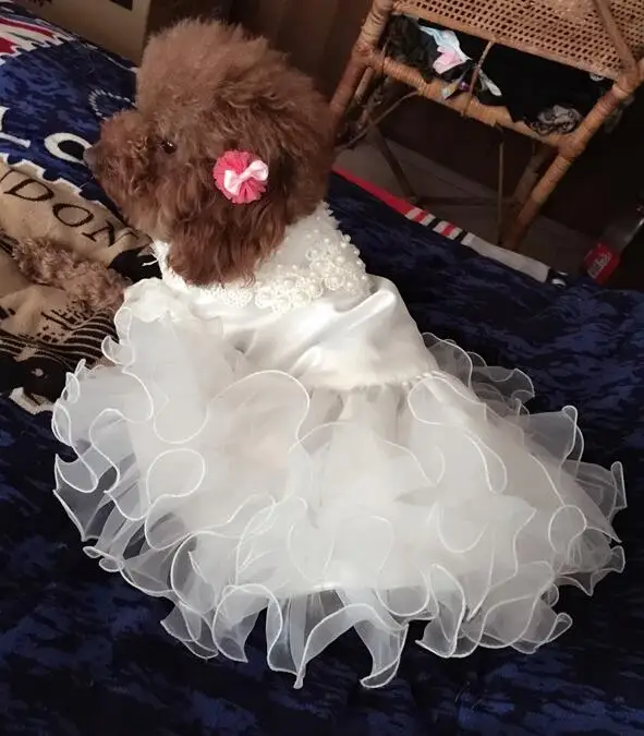 Luxury Princess Pet Wedding Dress, Dog Clothes, Cat Dress, Puppy Skirt, Pet Tutu Skirt, Bride Costume Supplies, XS to XL