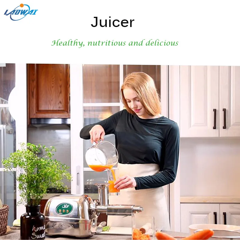 

Autmoatic Juicer Fruit Press Vegetable Juicing Mechine Food Processer Fruit / Vegetable Juice Extractor