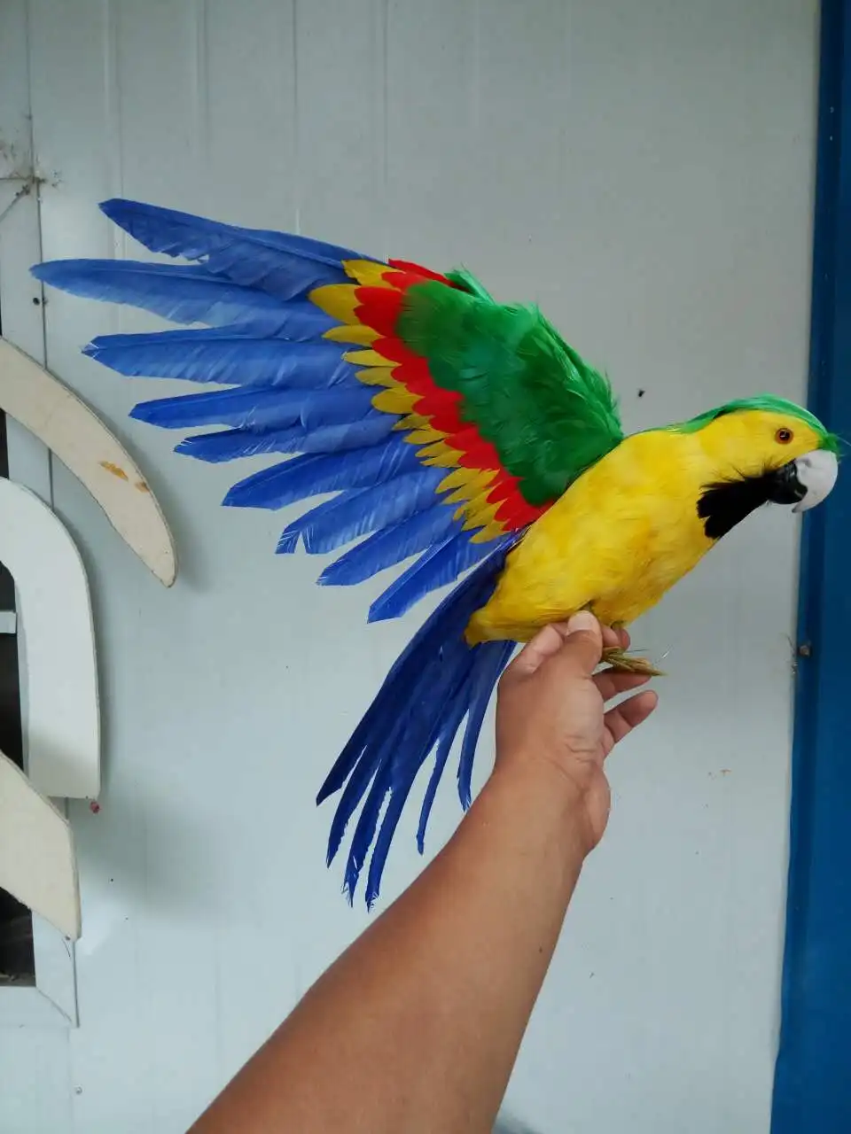 

artificial bird model beautiful feathers 43x60cm spreading wings parrot bird handicraft ,home garden decoration gift p2708