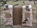 AOR1