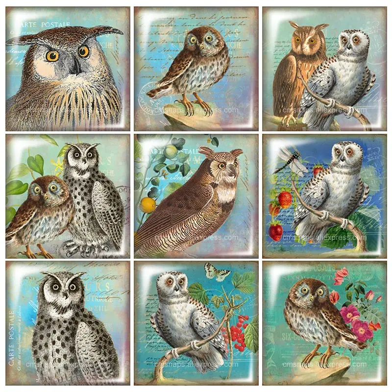 Beauty Vintage Owl Square glass cabochon 10pcs mixed 12mm/20mm/25mm/30mm Size flat back DIY Jewelry Findings Components