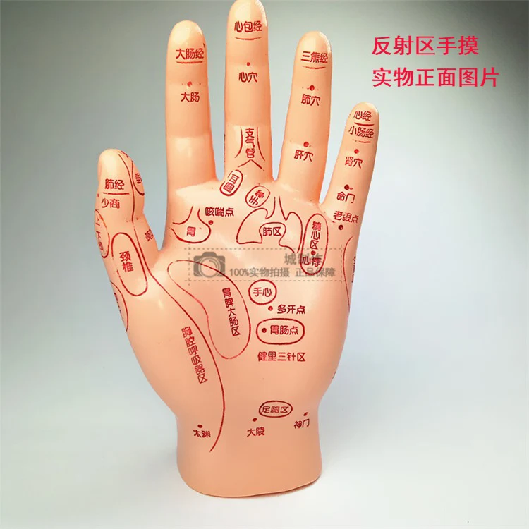 Free Shipping!! Best Quality New Style Acupuncture Hand Mannequin Hand Model Made In Factory