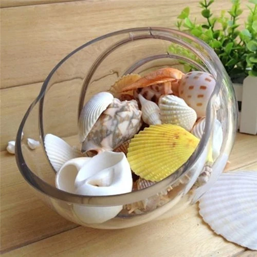 100g/bag Mixed Sea Beach Shells Seashells Fish Tank Aquarium Landscape Decoration Aquarium Decor Photo Props For DIY Crafts