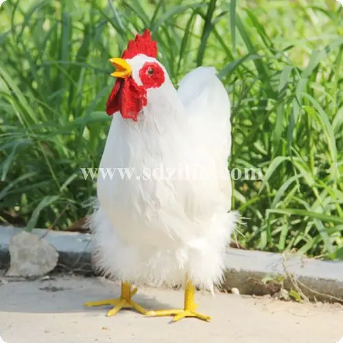 Zilin Manufacturer simulation chicken model with real feather , lifesize and vivid 22*10*24 cm