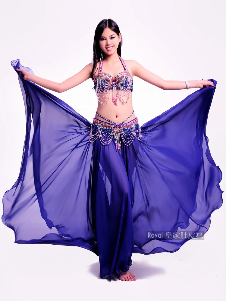 Belly dance clothe belly dance bra belt skirt belly dance costume 3pcs set belly dancer outfit women Oriental belly dance dress