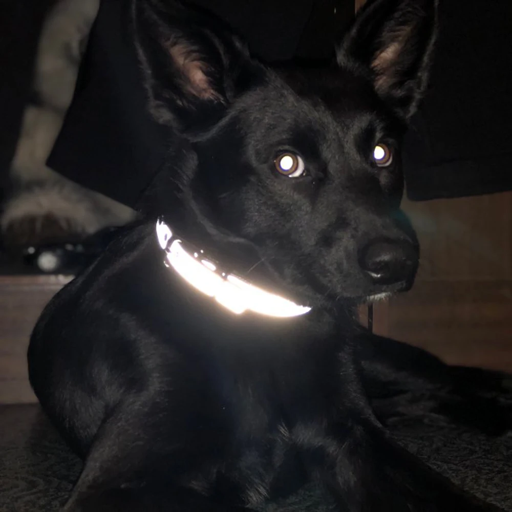 Collar reflectante grabado para perros, collares de cuero personalizados para mascotas, etiqueta de identificación para gatos, pequeños, medianos y