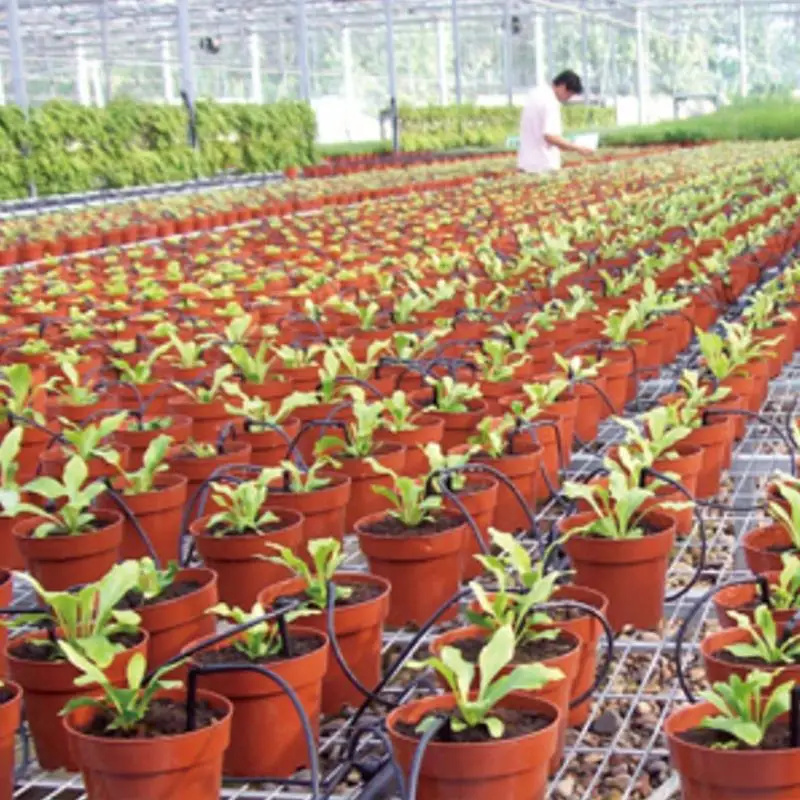 5-20m Timing Automatic Drip Irrigation System Balcony Greenhouse Flower Watering Kits Unmanned Operation Irrigator