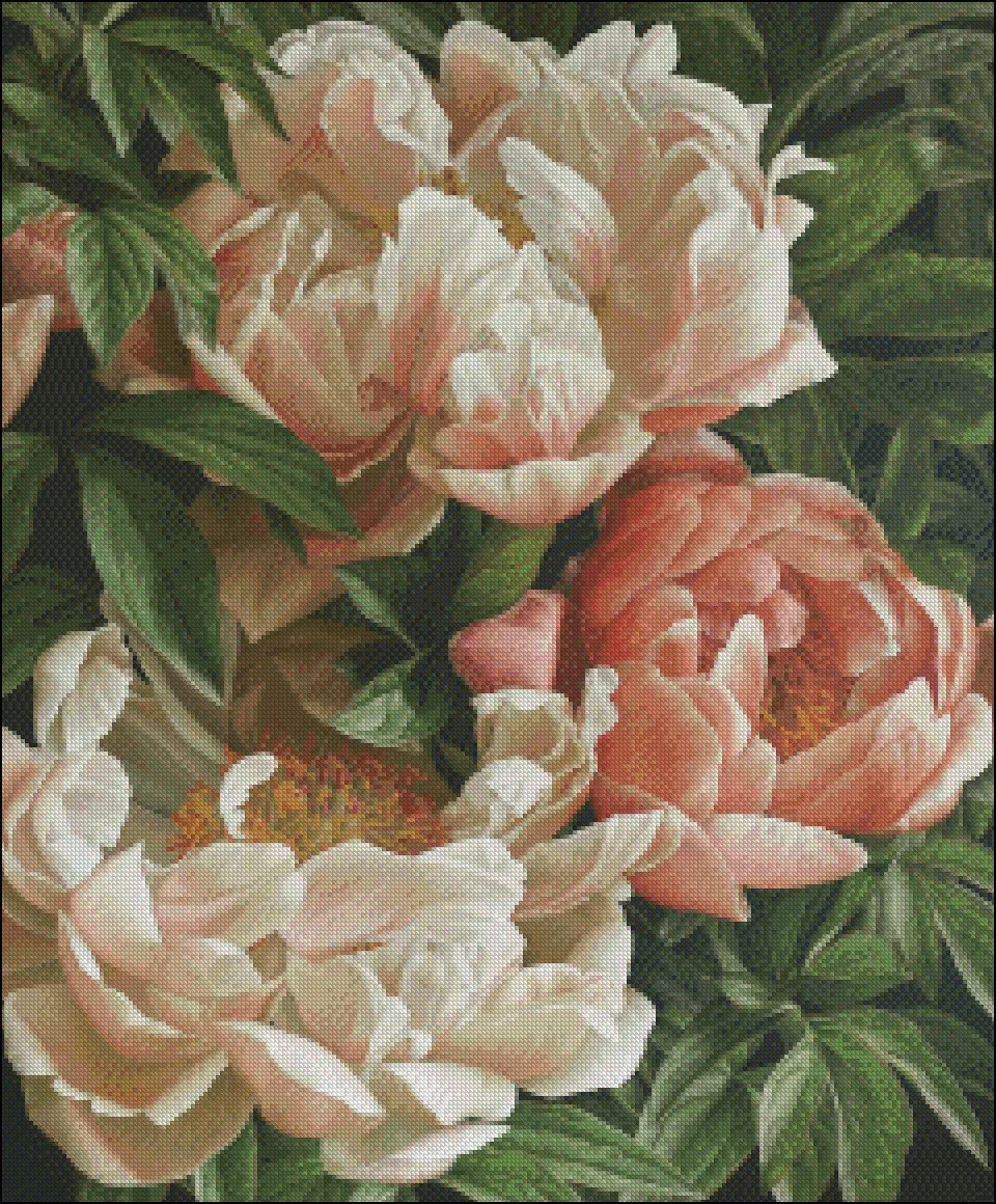 Needlework for embroidery DIY French DMC High Quality - Counted Cross Stitch Kits 14 ct Oil painting - Coral Charm Peony II