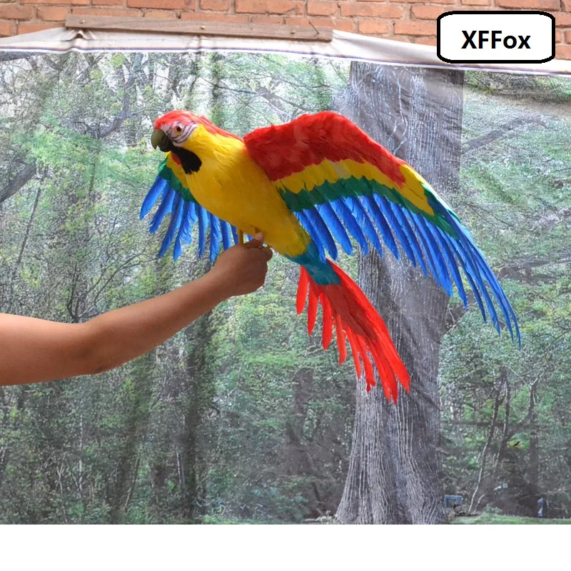 huge real life wings parrot model foam&feather big simulation colourful parrot bird gift about 60x80cm xf0276