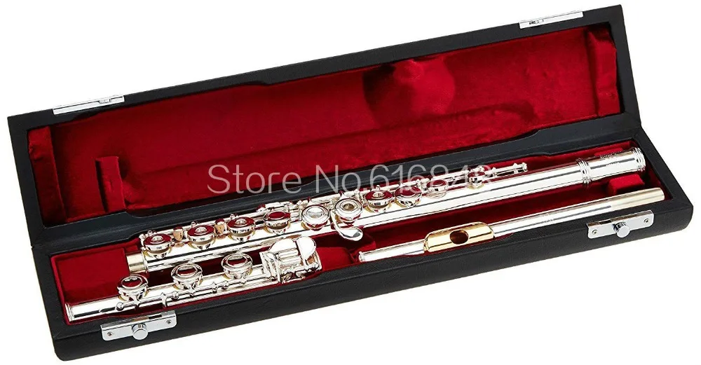 Gemeinhardt 3OB / GLP Gold Lip Flute High Quality 17 Key Open Hole Silver Plated C Tune Flute Musical Instrument With Case E Key