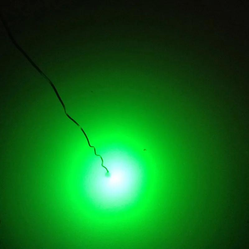 588pcs LEDs 200W 5M Cable 12V 24V Underwater Fish Attracting Lamp Green Fishing Lure LED Flashing Light Squid