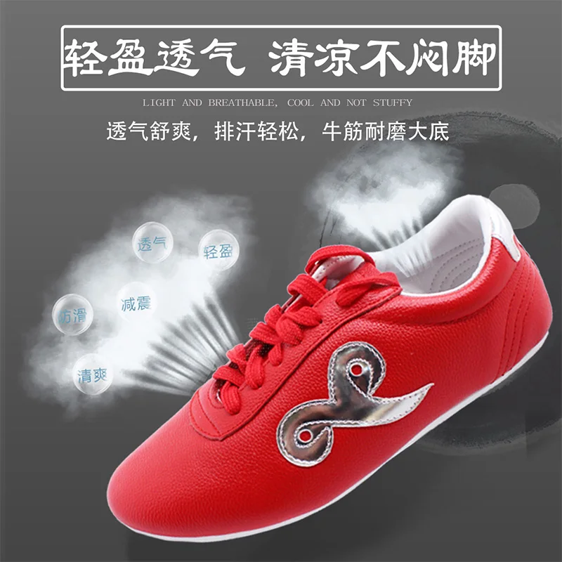 wushu shoes chinese kungfu shoes nanquan changquan taichi taiji shoes Martial Arts shoes ccwushu