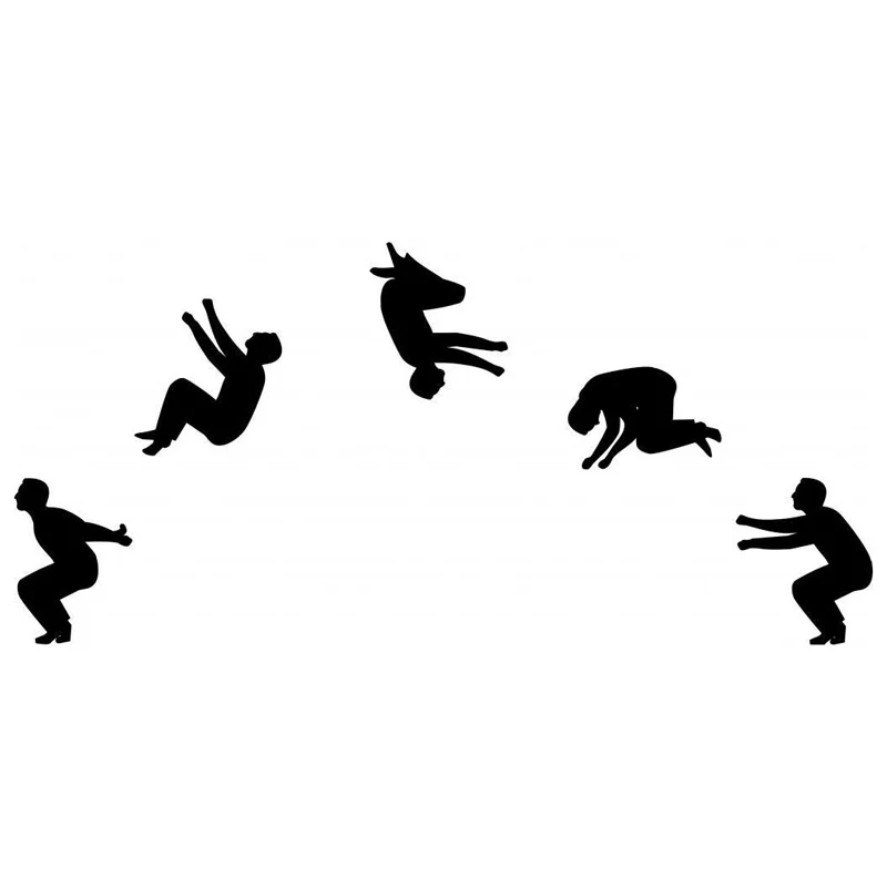 stickman backflip много денег