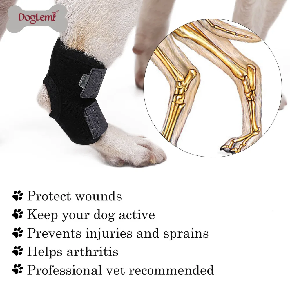 DogLemi pet dog bandages dog leg knee hock brace straps Protection for small dog joint 1pcs of Bandage Wrap dog medical supplies